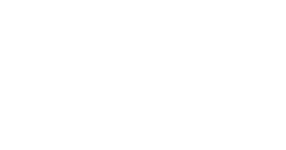 SPECTRUM GLOBAL PROJECTS